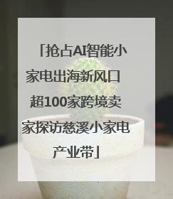 抢占AI智能小家电出海新风口 超100家跨境卖家探访慈溪小家电产业带