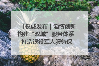 权威发布｜淄博创新构建“双域”服务体系 打造退役军人服务保障“淄博样板”