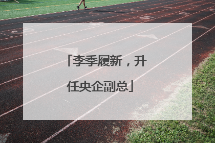 李季履新，升任央企副总