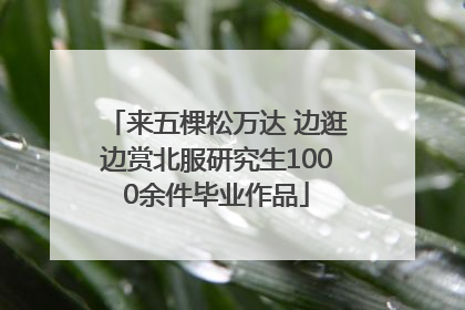 来五棵松万达 边逛边赏北服研究生1000余件毕业作品