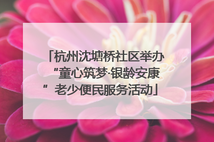 杭州沈塘桥社区举办“童心筑梦·银龄安康”老少便民服务活动