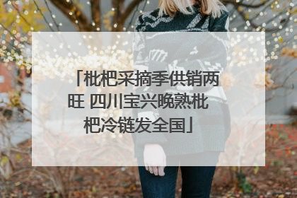 枇杷采摘季供销两旺 四川宝兴晚熟枇杷冷链发全国