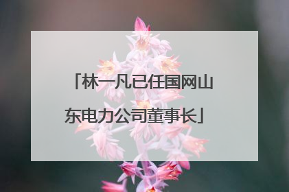 林一凡已任国网山东电力公司董事长