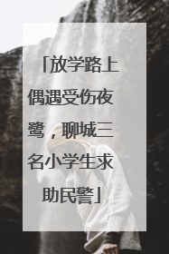 放学路上偶遇受伤夜鹭，聊城三名小学生求助民警