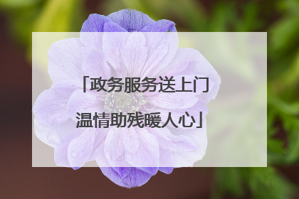政务服务送上门 温情助残暖人心