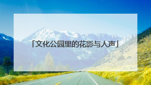 文化公园里的花影与人声