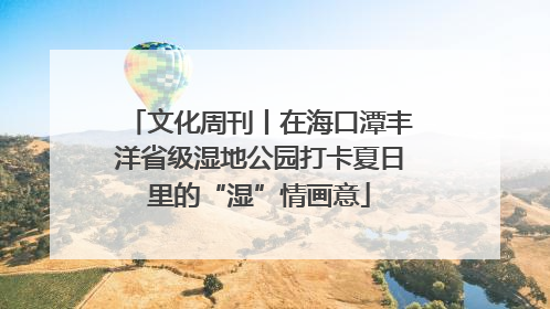 文化周刊丨在海口潭丰洋省级湿地公园打卡夏日里的“湿”情画意