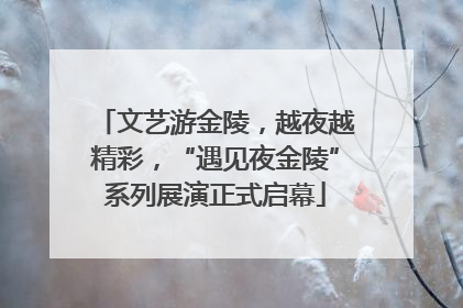 文艺游金陵，越夜越精彩，“遇见夜金陵”系列展演正式启幕