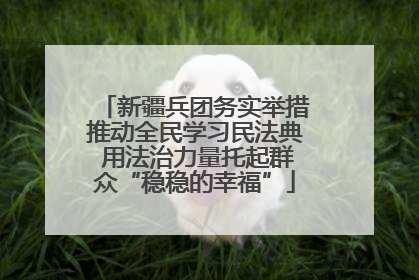 新疆兵团务实举措推动全民学习民法典 用法治力量托起群众“稳稳的幸福”