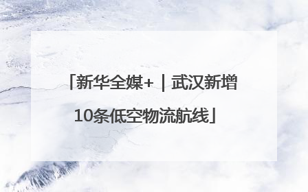 新华全媒+｜武汉新增10条低空物流航线