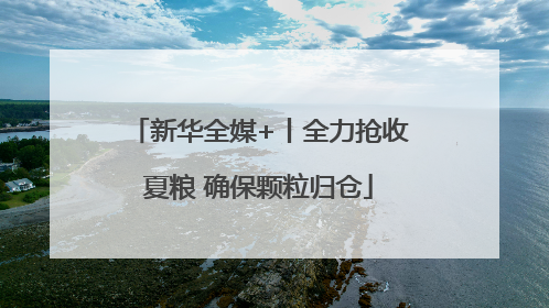 新华全媒+丨全力抢收夏粮 确保颗粒归仓