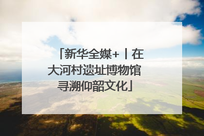 新华全媒+丨在大河村遗址博物馆寻溯仰韶文化