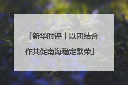 新华时评丨以团结合作共促南海稳定繁荣