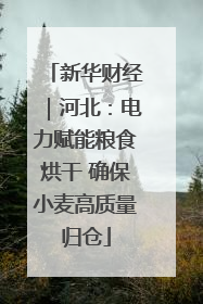 新华财经｜河北：电力赋能粮食烘干 确保小麦高质量归仓