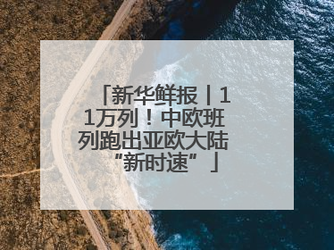 新华鲜报丨11万列！中欧班列跑出亚欧大陆“新时速”