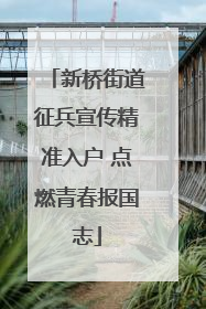 新桥街道征兵宣传精准入户 点燃青春报国志