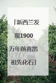 新西兰发现1900万年前喜鹊祖先化石