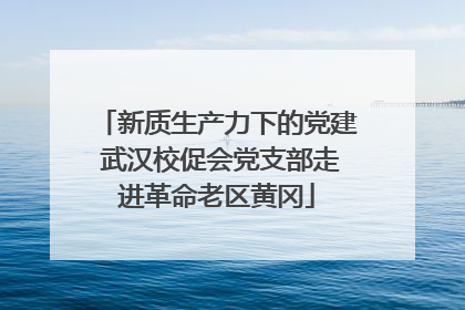 新质生产力下的党建 武汉校促会党支部走进革命老区黄冈
