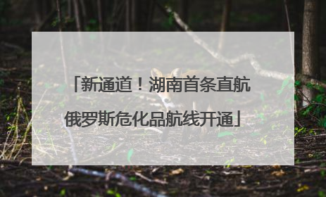 新通道！湖南首条直航俄罗斯危化品航线开通