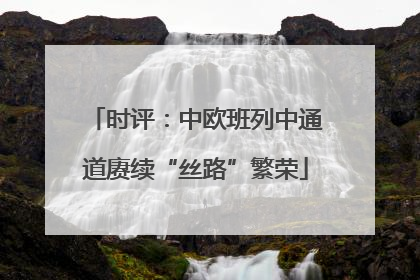 时评：中欧班列中通道赓续“丝路”繁荣