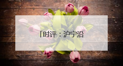 时评：沪宁沿江高铁串起长三角时空新版图