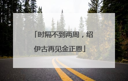 时隔不到两周，绍伊古再见金正恩
