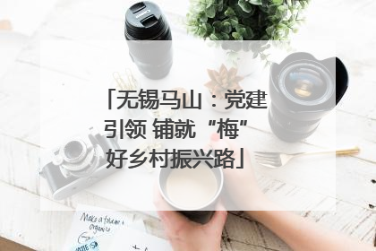 无锡马山：党建引领 铺就“梅”好乡村振兴路