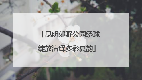 昆明郊野公园绣球绽放演绎多彩夏韵