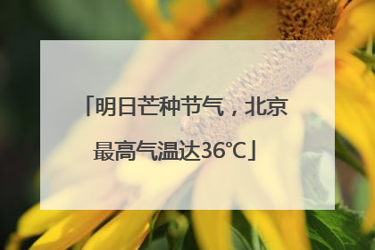 明日芒种节气，北京最高气温达36℃