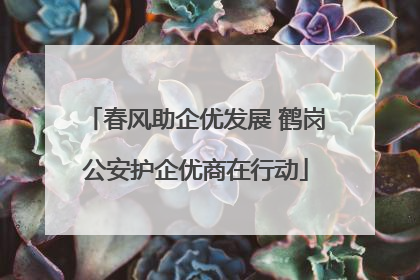 春风助企优发展 鹤岗公安护企优商在行动