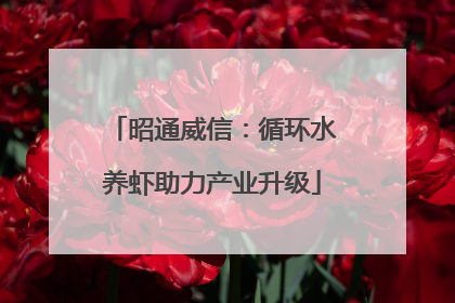 昭通威信：循环水养虾助力产业升级