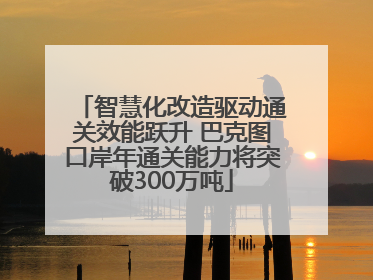 智慧化改造驱动通关效能跃升 巴克图口岸年通关能力将突破300万吨