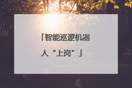 智能巡逻机器人“上岗”