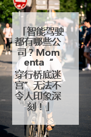 智能驾驶都有哪些公司？Momenta“穿行桥底迷宫”无法不令人印象深刻！