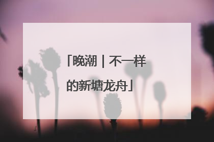 晚潮｜不一样的新塘龙舟