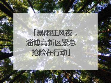 暴雨狂风夜，淄博高新区紧急抢险在行动