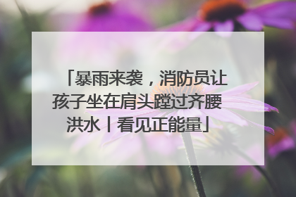 暴雨来袭，消防员让孩子坐在肩头蹚过齐腰洪水丨看见正能量
