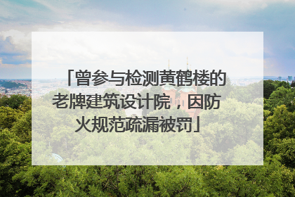 曾参与检测黄鹤楼的老牌建筑设计院，因防火规范疏漏被罚