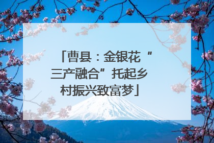 曹县：金银花“三产融合”托起乡村振兴致富梦