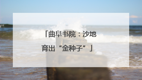 曲阜书院：沙地育出“金种子”