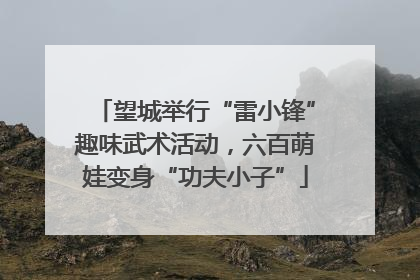 望城举行“雷小锋”趣味武术活动，六百萌娃变身“功夫小子”