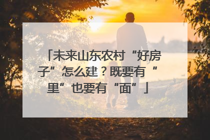 未来山东农村“好房子”怎么建？既要有“里”也要有“面”