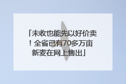 未收也能先以好价卖！全省已有70多万亩新麦在网上售出