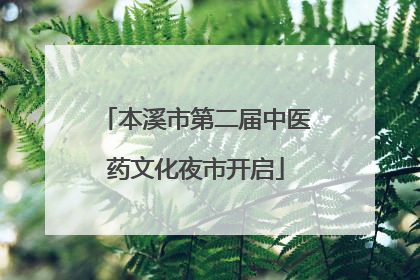本溪市第二届中医药文化夜市开启