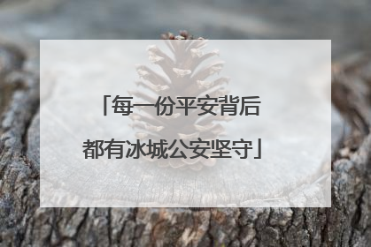 每一份平安背后 都有冰城公安坚守