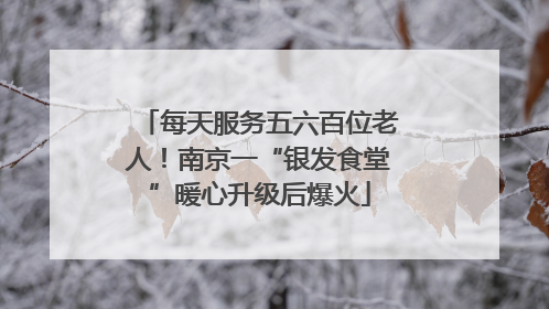 每天服务五六百位老人！南京一“银发食堂”暖心升级后爆火