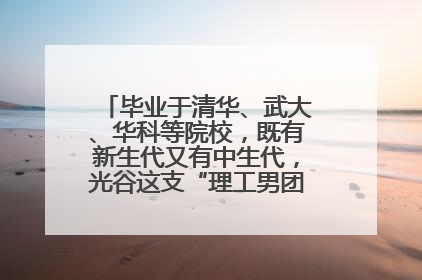 毕业于清华、武大、华科等院校，既有新生代又有中生代，光谷这支“理工男团”为何“出道”？
