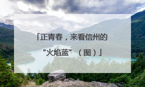 正青春，来看信州的“火焰蓝”（图）