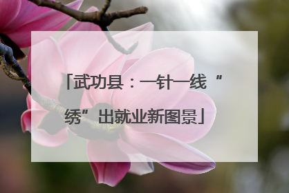 武功县：一针一线“绣”出就业新图景