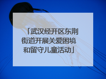 武汉经开区东荆街道开展关爱困境和留守儿童活动
